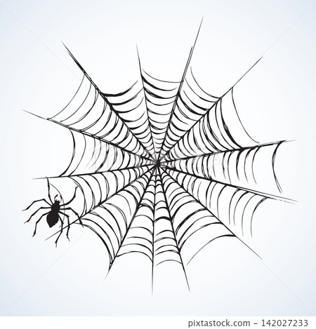 Spider. Vector illustration Spider. Vector illustration 142027233