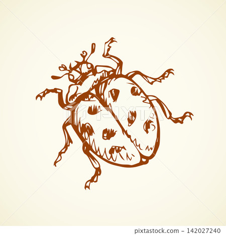 Ladybug. Vector drawing Ladybug. Vector drawing 142027240