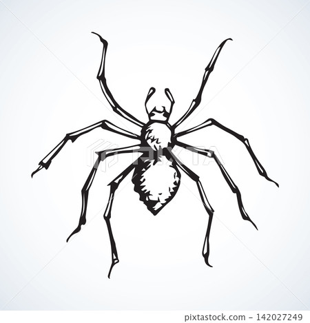 Spider. Vector illustration Spider. Vector illustration 142027249