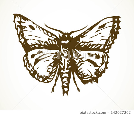 Night butterfly. Vector drawing icon Night butterfly. Vector drawing icon 142027262
