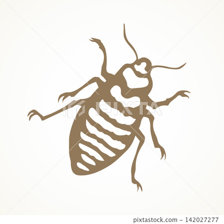 Beetle. Larva. Vector drawing Beetle. Larva. Vector drawing 142027277