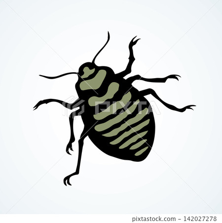 Beetle. Larva. Vector drawing Beetle. Larva. Vector drawing 142027278