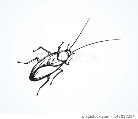 Cockroach. Vector drawing Cockroach. Vector drawing 142027294