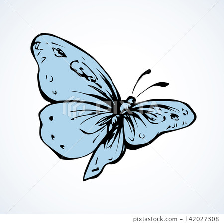 Butterfly. Vector drawing Butterfly. Vector drawing 142027308