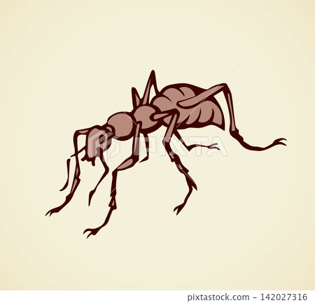 Ant. Vector drawing Ant. Vector drawing 142027316