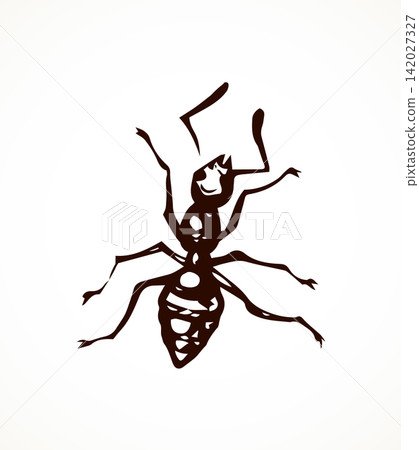 Ant. Vector drawing Ant. Vector drawing 142027327