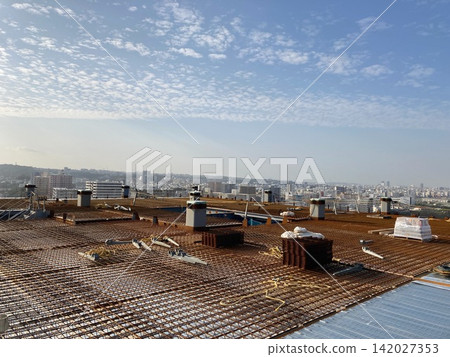 對俯瞰城市的屋頂板進行加固 對俯瞰城市的屋頂板進行加固 142027353