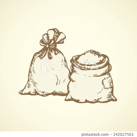Bag. Vector drawing Bag. Vector drawing 142027501