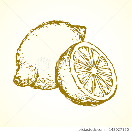 Lemon. Vector drawing Lemon. Vector drawing 142027550