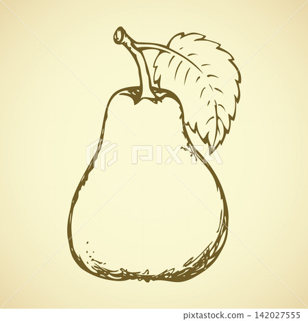 Pear. Vector drawing Pear. Vector drawing 142027555