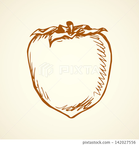 Persimmon. Vector drawing Persimmon. Vector drawing 142027556