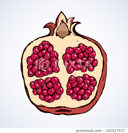 Vector sketch of garnet 142027557