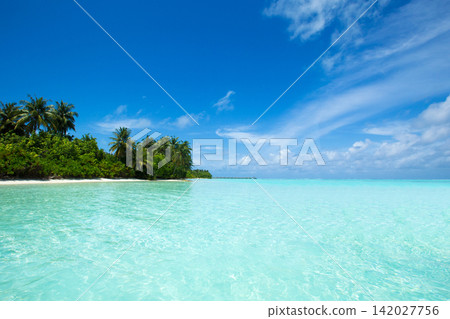 tropical Maldives island with white sandy beach and sea tropical Maldives island with white sandy beach and sea 142027756
