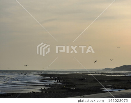A coastal landscape at dusk, with seabirds flying about. A coastal landscape at dusk, with seabirds flying about. 142028073