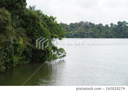 Lush Green Waterside Serenity Tropical Landscape Lush Green Waterside Serenity Tropical Landscape 142028274