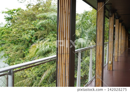 Tropical walkway with bamboo columns overlooking lush green landscape Tropical walkway with bamboo columns overlooking lush green landscape 142028275