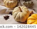 Thanksgiving Still Life with Mini Pumpkins 142028445