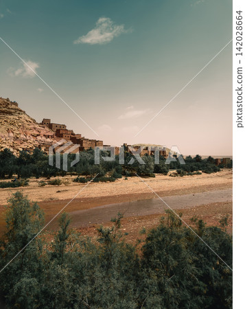 Palm oasis below rocky desert hill 142028664