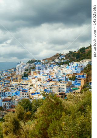Blue hillside city under cloudy sky Blue hillside city under cloudy sky 142028665