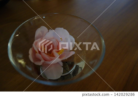 將一朵花放在玻璃盤中。 將一朵花放在玻璃盤中。 142029286