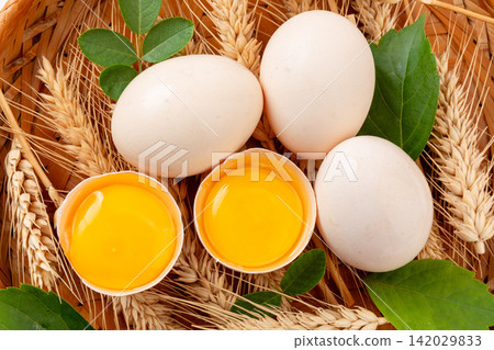 white Shell Chicken Eggs with Fresh Egg Yolk Food Ingredient white Shell Chicken Eggs with Fresh Egg Yolk Food Ingredient 142029833