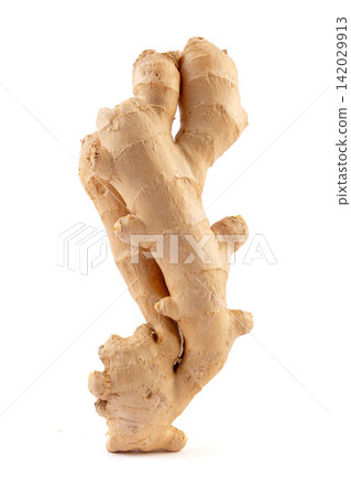 fresh Ginger Root Whole Food Ingredient for Cooking fresh Ginger Root Whole Food Ingredient for Cooking 142029913