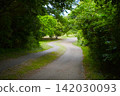 A winding path surrounded by greenery and a walking trail bathed in dappled sunlight. 142030093