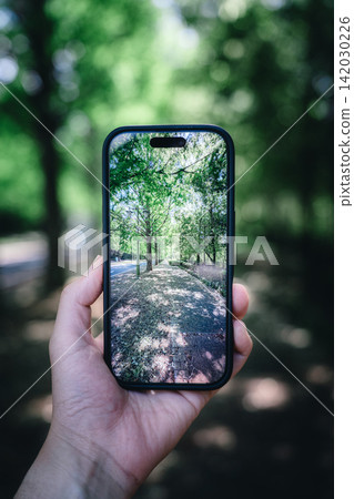 The fresh green leaves of the Metasequoia tree-lined avenue in Kiminomori, captured through a smartphone. The fresh green leaves of the Metasequoia tree-lined avenue in Kiminomori, captured through a smartphone. 142030226