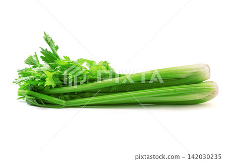 fresh Celery Stalk Vegetable Ingredient Close Up fresh Celery Stalk Vegetable Ingredient Close Up 142030235
