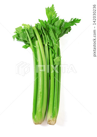 fresh Celery Stalk Vegetable Ingredient Close Up fresh Celery Stalk Vegetable Ingredient Close Up 142030236