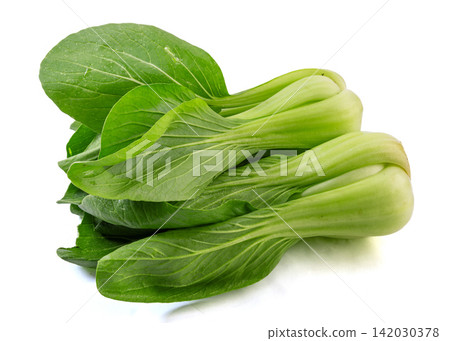 fresh Shanghai Bok Choy Green Vegetable Ingredient Close Up fresh Shanghai Bok Choy Green Vegetable Ingredient Close Up 142030378
