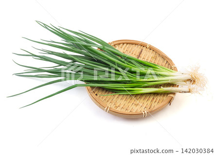 fresh Green Onion Vegetable Herb Ingredient Close Up fresh Green Onion Vegetable Herb Ingredient Close Up 142030384