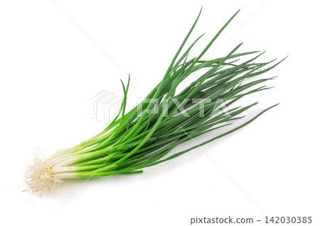 fresh Green Onion Vegetable Herb Ingredient Close Up 142030385