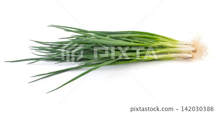 fresh Green Onion Vegetable Herb Ingredient Close Up fresh Green Onion Vegetable Herb Ingredient Close Up 142030386
