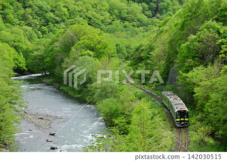 A Series H100 train runs through the lush greenery of the Sekihoku Main Line, the birthplace of Shirakawa. 142030515