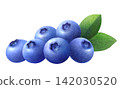 Watercolor illustration of fresh blueberries and leaves 142030520