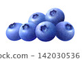 Watercolor illustration of fresh blueberries 142030536