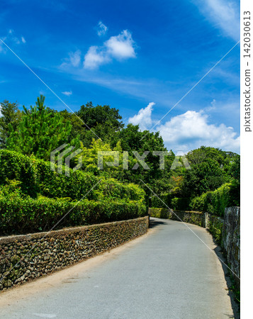 Blue sky and green path Blue sky and green path 142030613