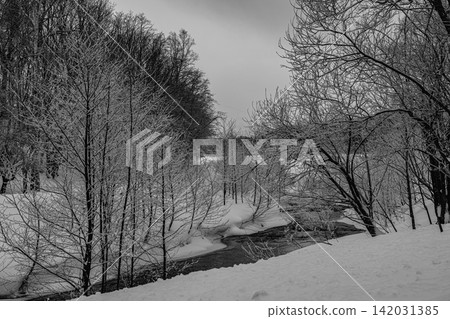 A stream flows gently through the winter forest and snowscape, enveloped in a crisp silence. 142031385