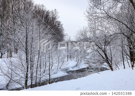 冬日美景：一條清澈的小溪在白雪皚皚的平原和白雪覆蓋的樹木間靜靜流淌。 142031386