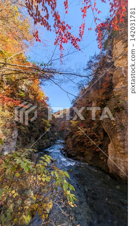 秋葉漸近,鳴子峽山谷和清澈溪流景色變幻莫測。 秋葉漸近,鳴子峽山谷和清澈溪流景色變幻莫測。 142031781
