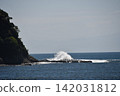 waves crashing on the sea 142031812