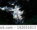 Enoshima Benten Bridge as seen from above 142031813