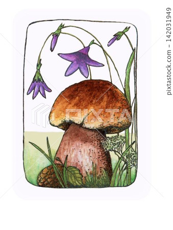 Vintage hand drawn illustration of a woodland mushroom surrounded by purple bellflowers, grass and forest plants, painted in a traditional watercolor and ink style Vintage hand drawn illustration of a woodland mushroom surrounded by purple bellflowers, grass and forest plants, painted in a traditional watercolor and ink style 142031949