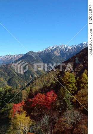 Autumn foliage and snow-capped mountains of the Northern Alps Autumn foliage and snow-capped mountains of the Northern Alps 142031974