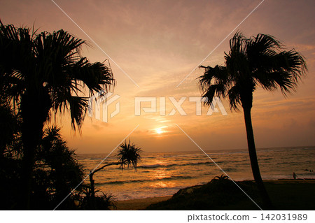 Sunset over the sea on Amami Oshima Island Sunset over the sea on Amami Oshima Island 142031989