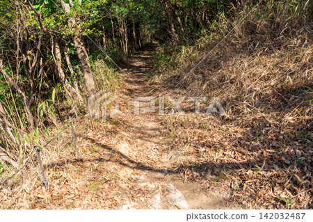[瀨戶內海國立公園] 飯野山 - 春季健行路線3 - 香川縣丸龜市飯山町 142032487