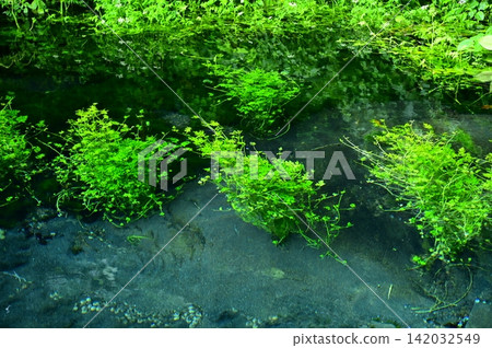 Oide spring water, groundwater from Mount Iwate. Oide spring water, groundwater from Mount Iwate. 142032549