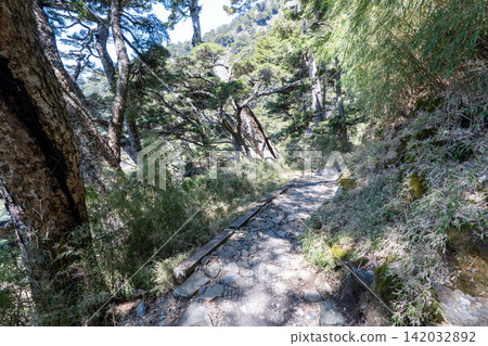 從玉山登山路線看到的風景，玉山是台灣最高峰。 142032892