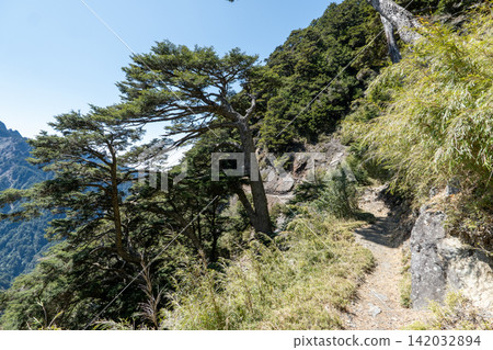 Scenery from the climbing route to Yushan, Taiwan's highest peak. Scenery from the climbing route to Yushan, Taiwan's highest peak. 142032894